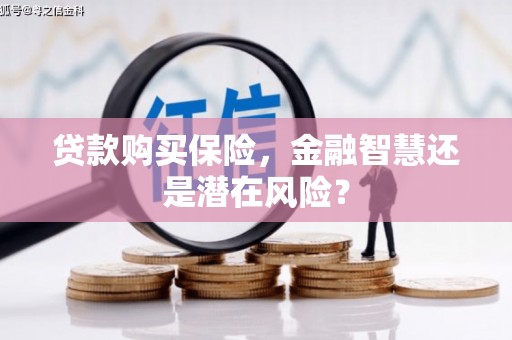 江汉贷款购买保险，金融智慧还是潜在风险？