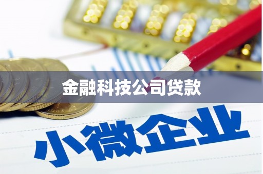 江汉金融科技公司贷款