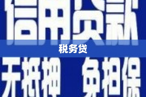 江汉税务贷