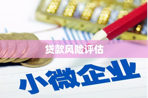 江汉贷款风险评估