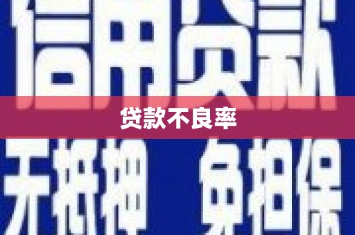 江汉贷款不良率