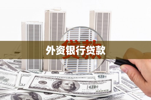 江汉外资银行贷款
