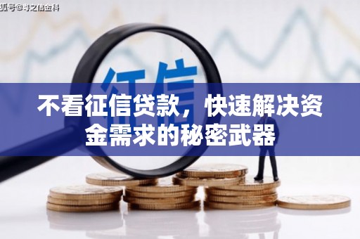 江汉不看征信贷款，快速解决资金需求的秘密武器