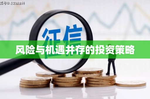 江汉风险与机遇并存的投资策略