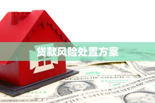 江汉贷款风险处置方案