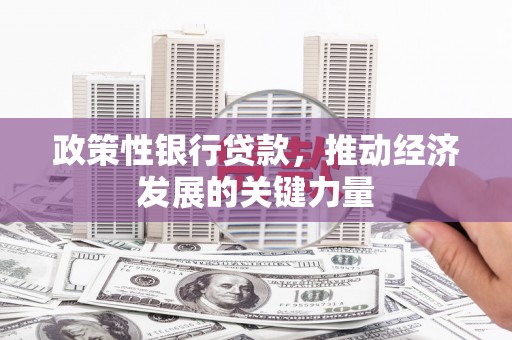 江汉政策性银行贷款，推动经济发展的关键力量