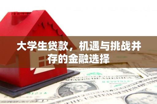 江汉大学生贷款，机遇与挑战并存的金融选择