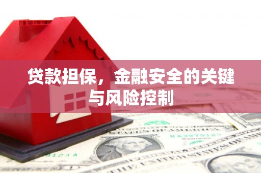 江汉贷款担保，金融安全的关键与风险控制
