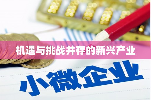 江汉机遇与挑战并存的新兴产业
