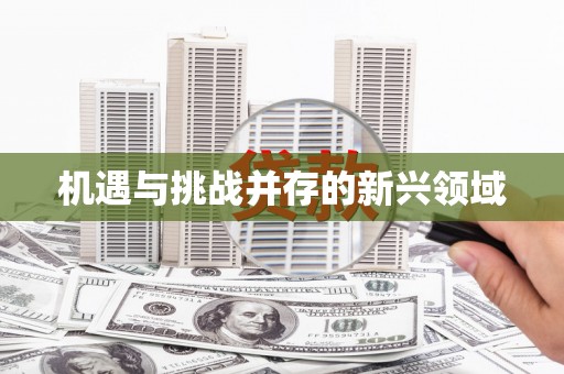 江汉机遇与挑战并存的新兴领域