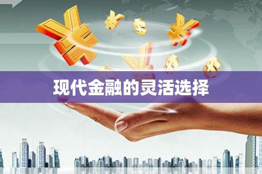 江汉现代金融的灵活选择